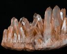 Amazing Tangerine Quartz Crystal Cluster - Madagascar #32264-1
